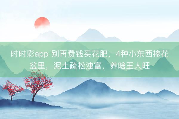 时时彩app 别再费钱买花肥，4种小东西掺花盆里，泥土疏松浊富，养啥王人旺
