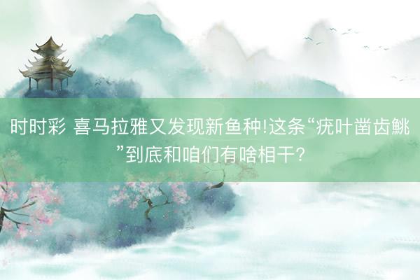 时时彩 喜马拉雅又发现新鱼种!这条“疣叶凿齿鮡”到底和咱们有啥相干?