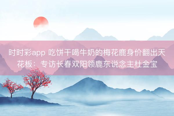 时时彩app 吃饼干喝牛奶的梅花鹿身价翻出天花板：专访长春双阳领鹿东说念主杜金宝