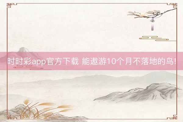 时时彩app官方下载 能遨游10个月不落地的鸟!