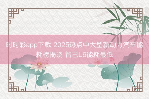 时时彩app下载 2025热点中大型新动力汽车能耗榜揭晓 智己L6能耗最低