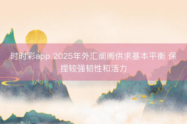 时时彩app 2025年外汇阛阓供求基本平衡 保捏较强韧性和活力